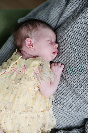 MARGOT25450