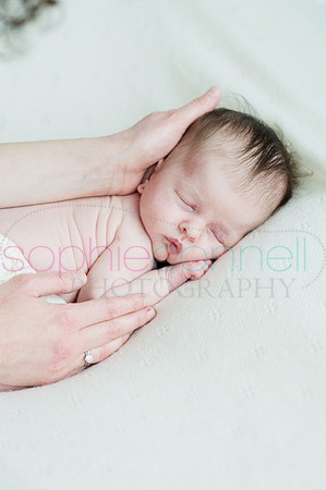 MARGOT25826