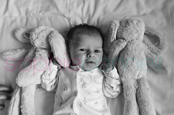 MARGOT25697
