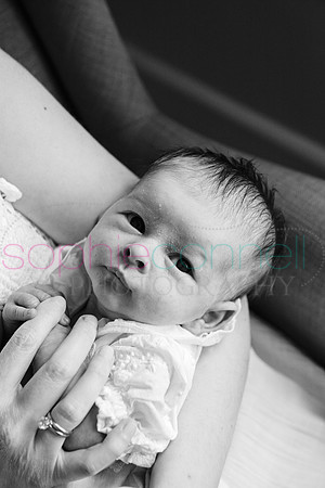 MARGOT25518