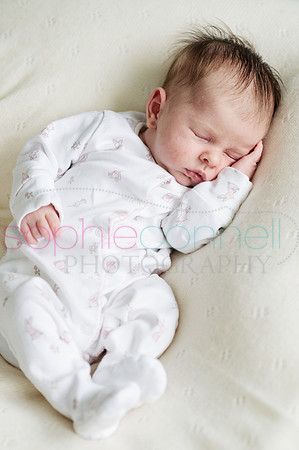 MARGOT25729