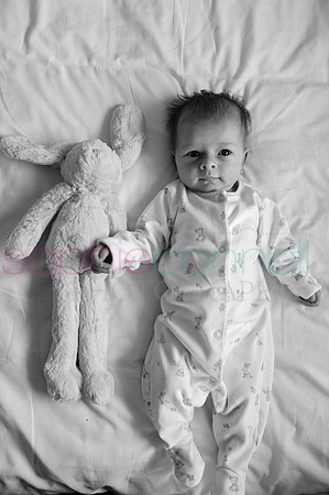 MARGOT25711