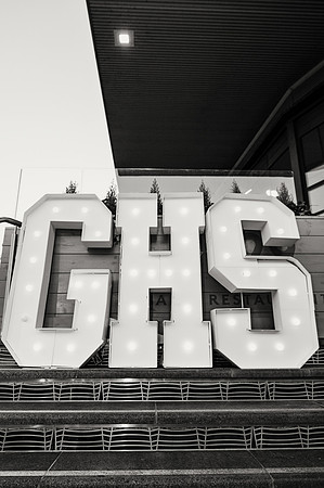 ghs25008