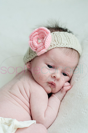 MARGOT25801