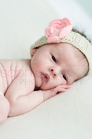 MARGOT25815