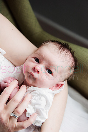 MARGOT25519