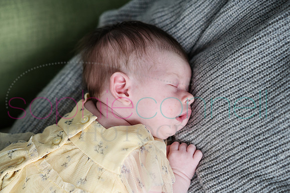 MARGOT25452