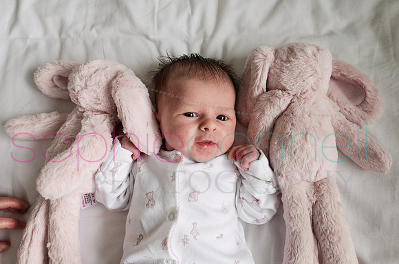 MARGOT25696
