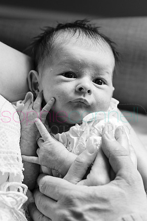 MARGOT25638