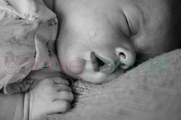 MARGOT25439