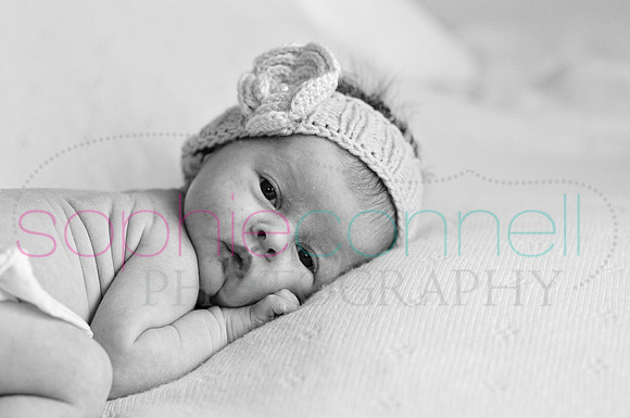MARGOT25808
