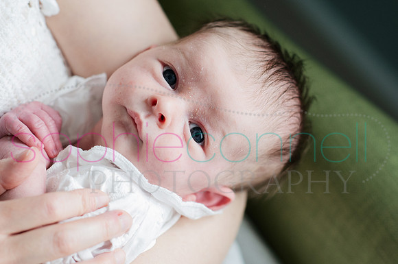 MARGOT25625