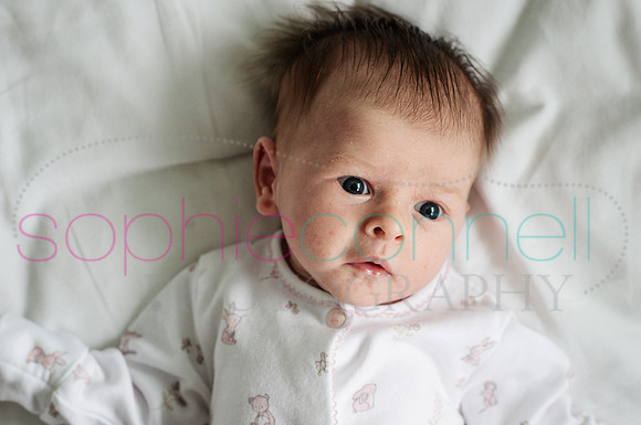 MARGOT25713