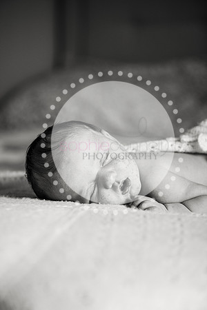 louise25194