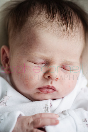 MARGOT25779