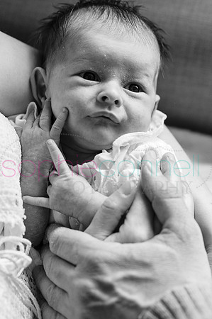 MARGOT25634