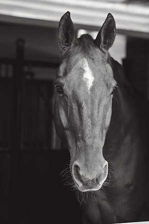anniebrunt25007