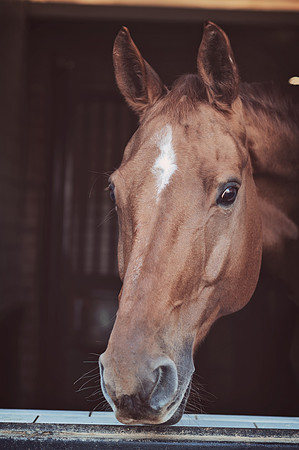 anniebrunt25012