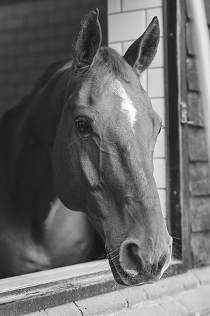 anniebrunt25015