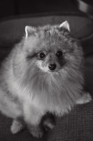 anniebrunt25363