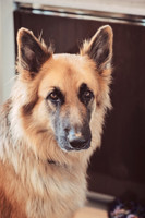 anniebrunt25378