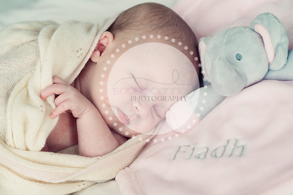 fiadh25142
