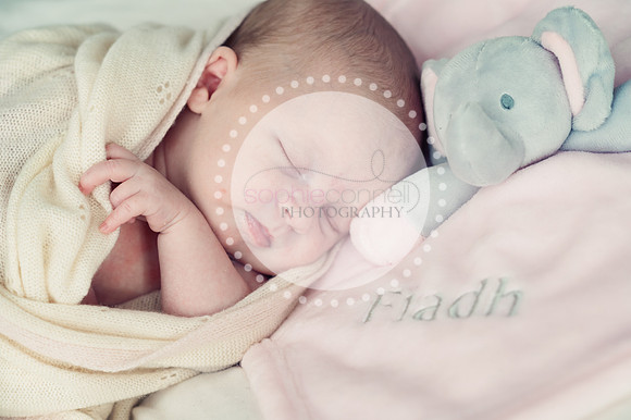 fiadh25140