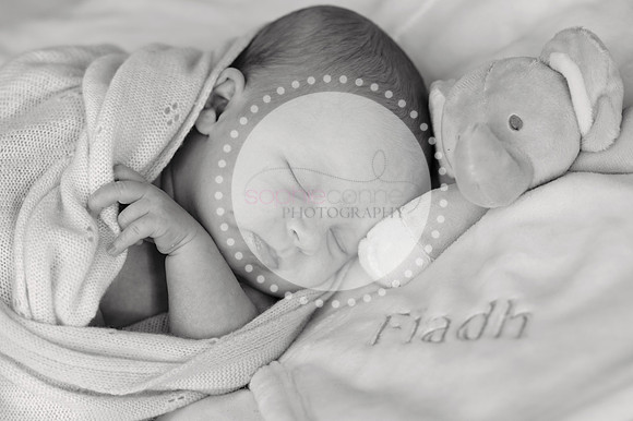 fiadh25141