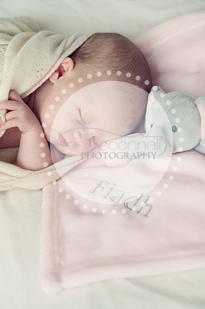fiadh25138