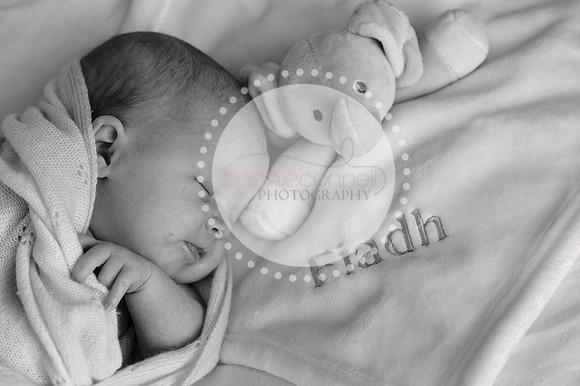 fiadh25135