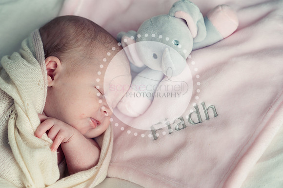 fiadh25136