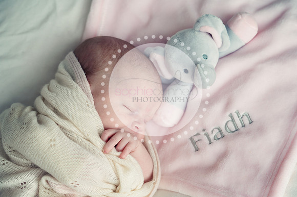 fiadh25132