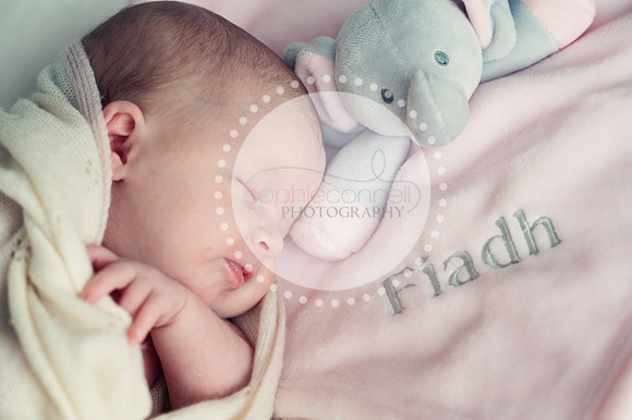 fiadh25134
