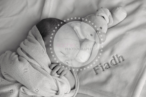 fiadh25131
