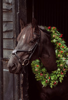 chrisina25331