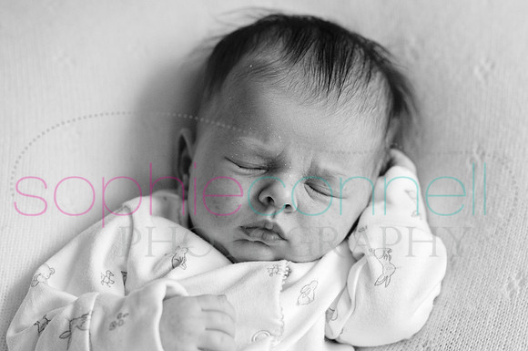 MARGOT25738
