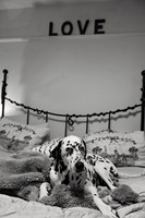 Shari12_25007