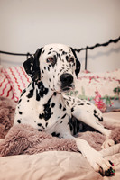 Shari12_25018