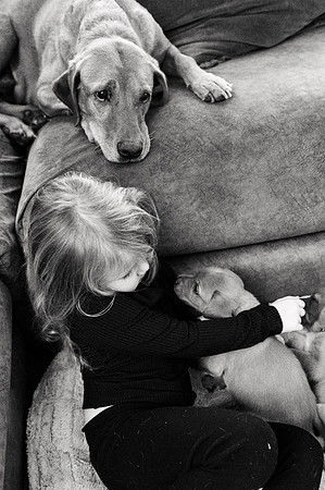ameliapups2520251216_0029