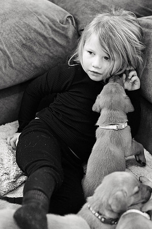 ameliapups2520251216_0074