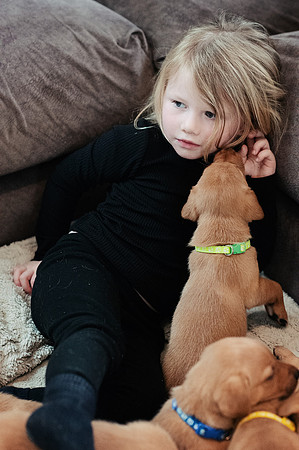 ameliapups2520251216_0075