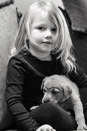 ameliapups2520251216_0085