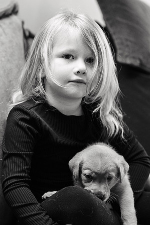 ameliapups2520251216_0086