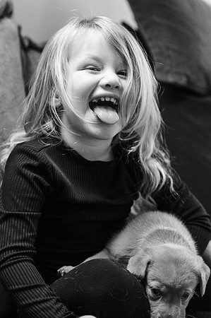 ameliapups2520251216_0088