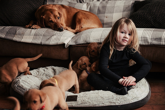 ameliapups2520251216_0151