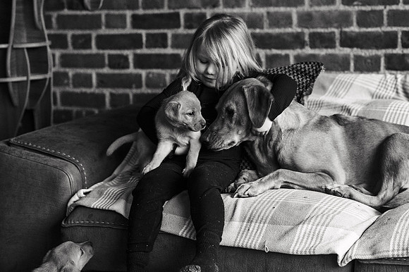 ameliapups2520251216_0152