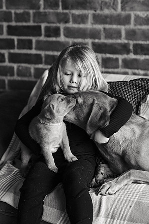 ameliapups2520251216_0154