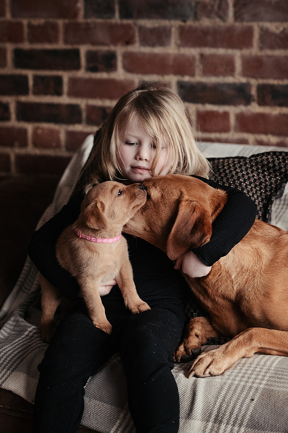 ameliapups2520251216_0155