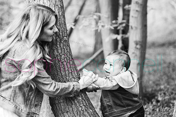 249albert