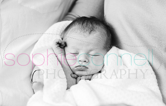 019sadie17
